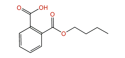 Butyl hydrogen phthalate